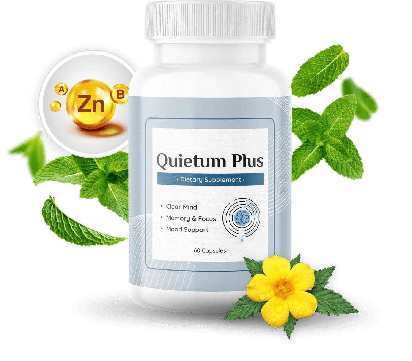 Quietum Plus Review